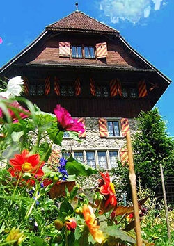 Frontansicht