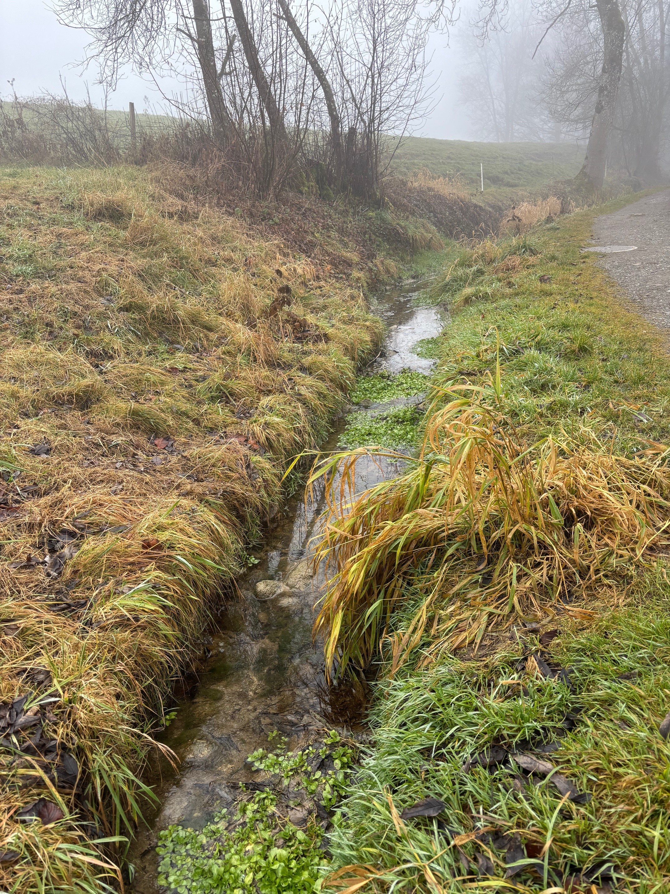 Mülibach Beromünster